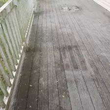 Deck cleaning stockton nj before