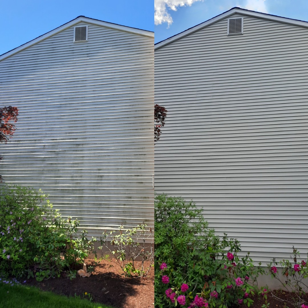 Deck cleaning stockton nj before and after