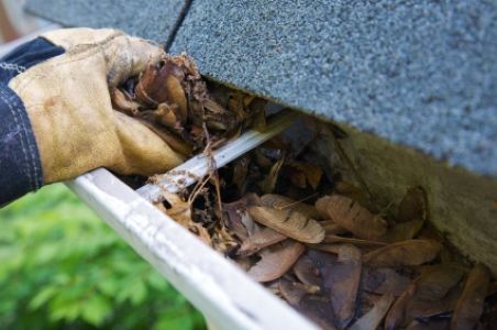 Gutter cleaning vs gutter guards what actually saves money